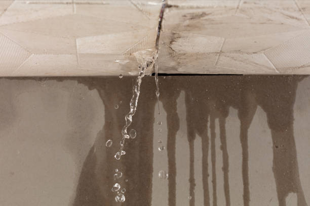 Professional Burst Pipe Cleanup technician working in Herman, NE
